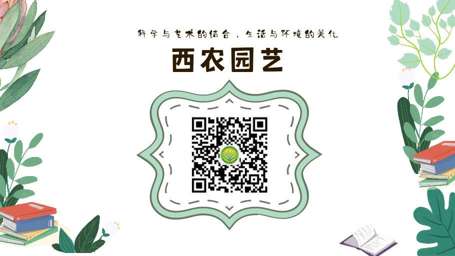 篮球周期训练计划内容有哪些_1